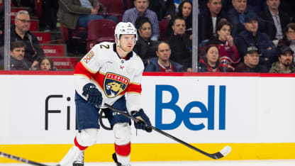 Divisionsfinaler i Calder Cup-slutspelet